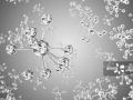 最強光催化劑：“水變氫”效率刷新世界紀錄