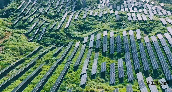 QQ截圖20220123121514