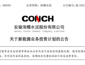 海螺水泥進軍新能源領(lǐng)域，年底光伏裝機將達1GW！