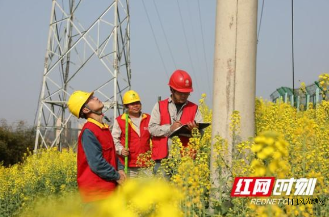 QQ截圖20220317135405