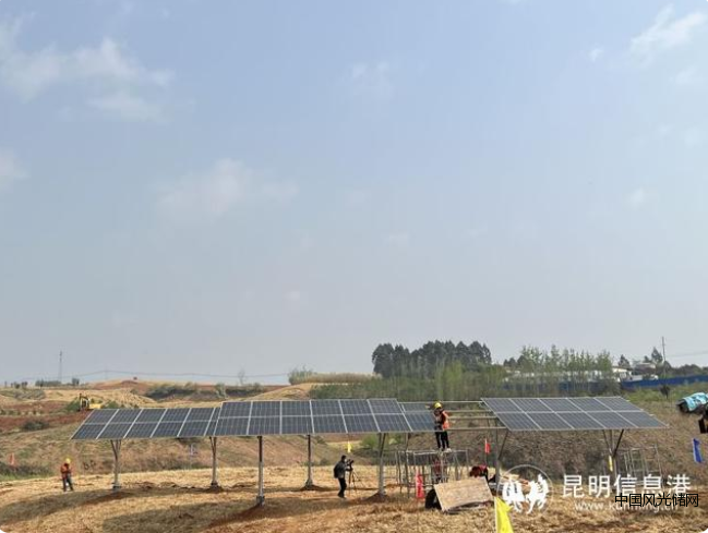 QQ截圖20220330175339