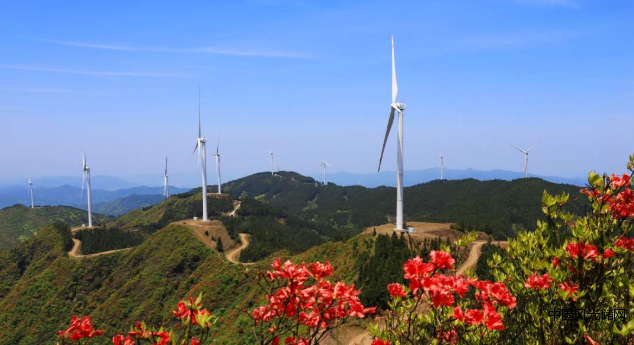 QQ截圖20220411144524