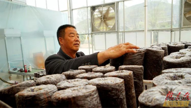 QQ截圖20220418105031