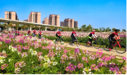 QQ截圖20220428165050