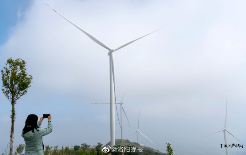 QQ截圖20220511194754