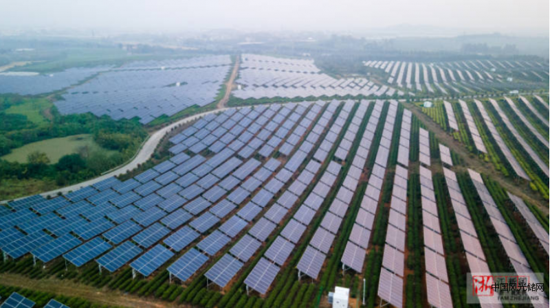 QQ截圖20220518192641