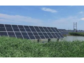 天合光儲助力石油石化行業打造低碳競爭力