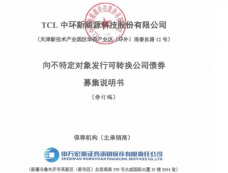TLC中環募資138億元,投建35GW硅片電池項目