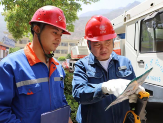 國網隴南供電：深化政務數據共享 助力電力服務升級