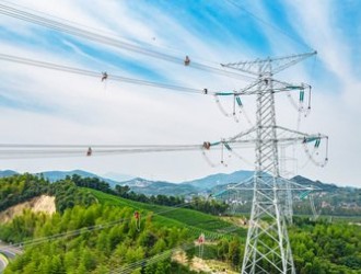 伊春：電網建設堅持“綠色施工”