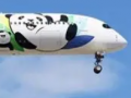 寧德時(shí)代：正在進(jìn)行民用電動(dòng)載人飛機(jī)項(xiàng)目的合作開(kāi)發(fā)