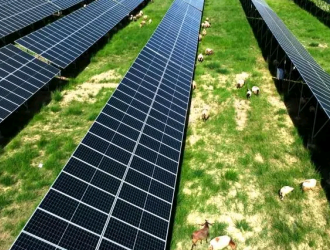 競爭加劇光伏行業現控產減產 業界稱先進產能仍有缺口